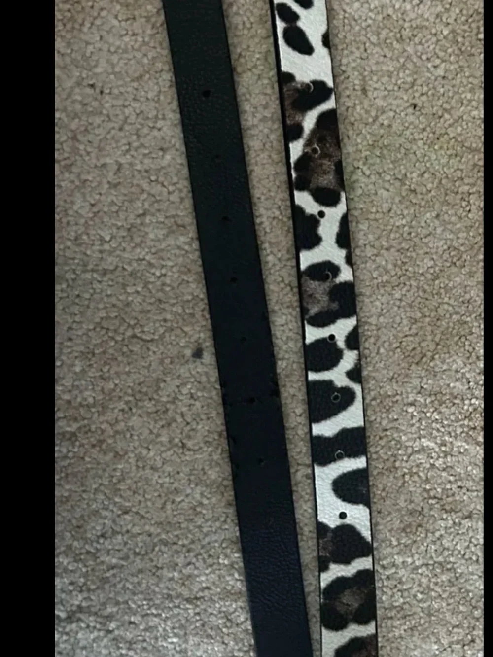 BKE Black and Leopard Double Strap Belt with Gold Rings